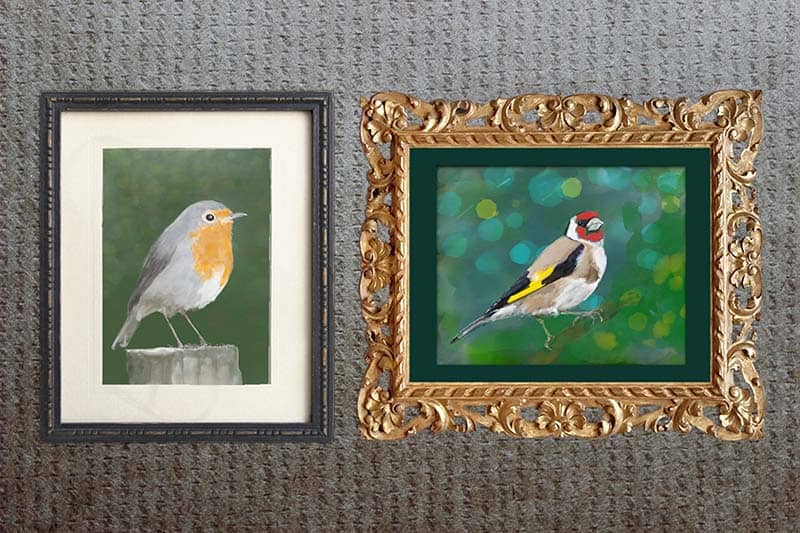 Robin and goldfinch framed prints Robin and goldfinch framed prints