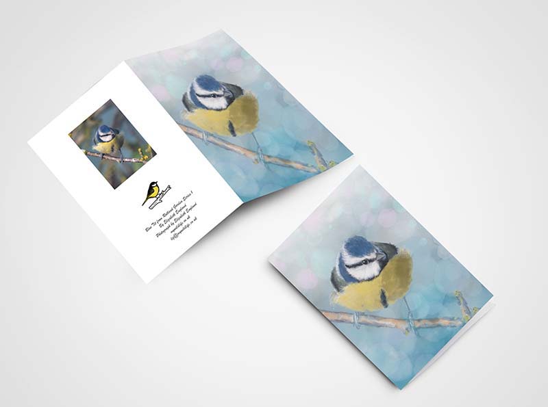 Blue tit card Blue tit card