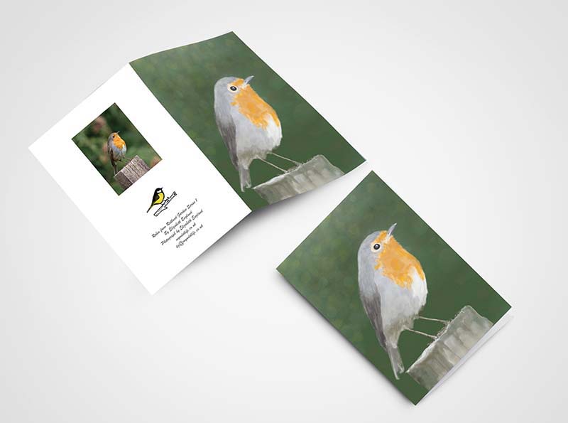 Robin cards Robin cards